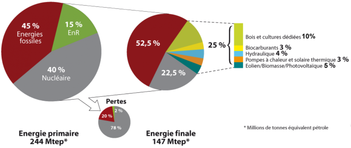 Usages De La Biomasse Biomasse Conseil Fr